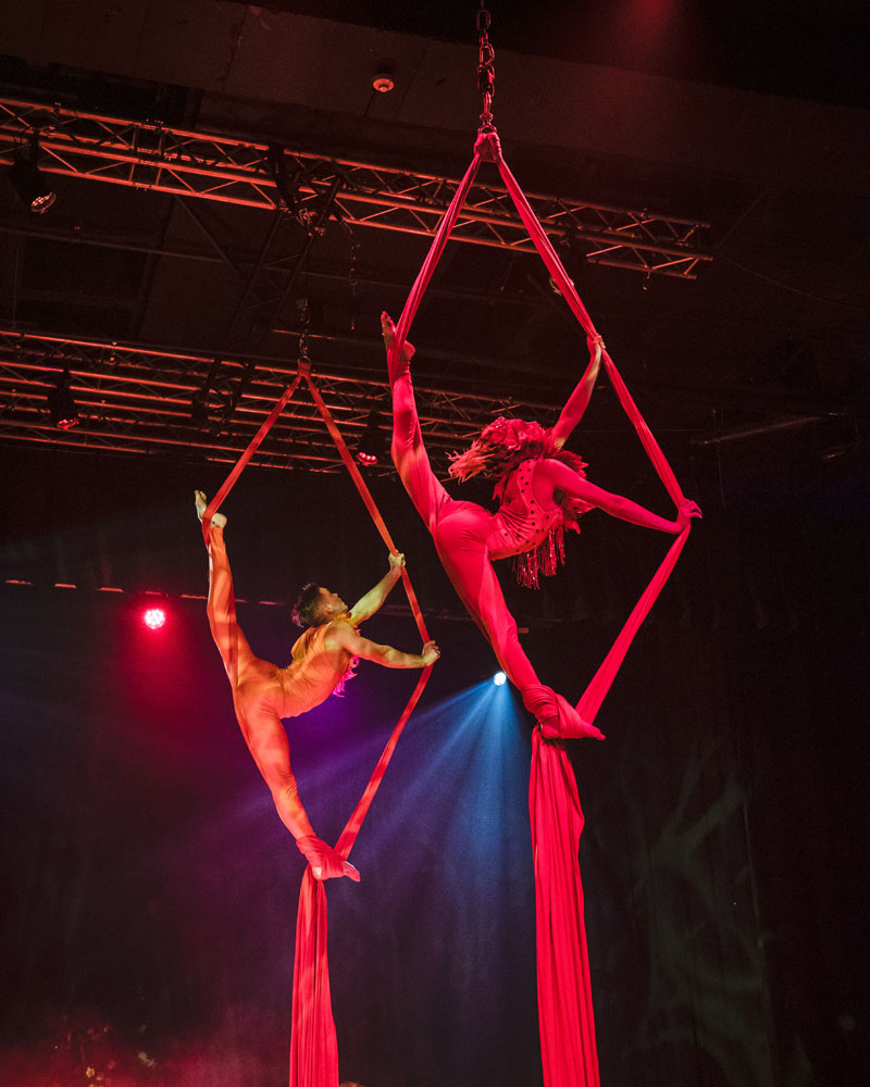 Aerial Silks