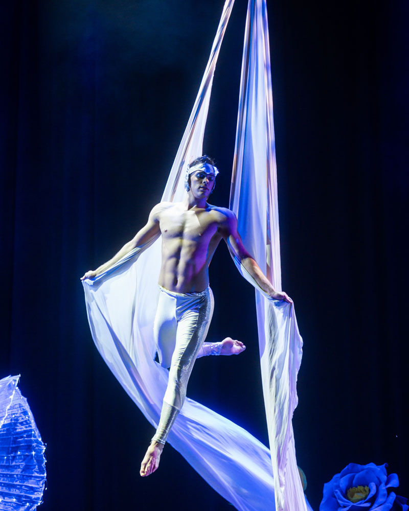 Flying Angel
