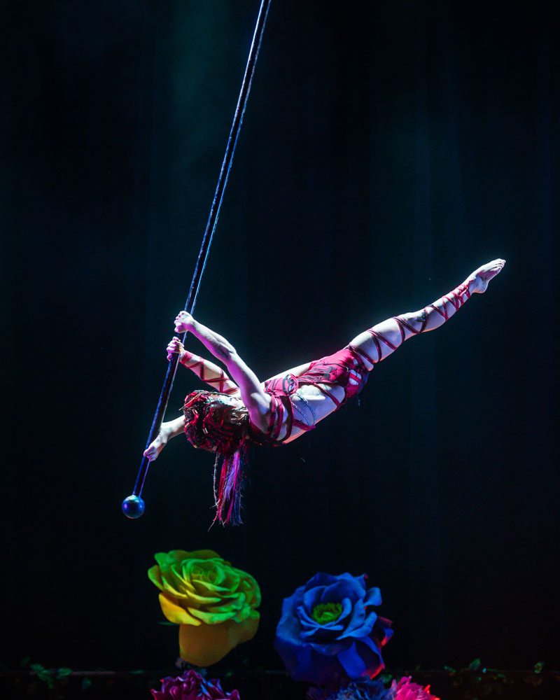 Flying Pole
